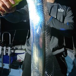 シースナイパー海龍 釣果