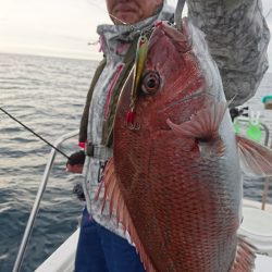 遊漁船ブルーウッズ 釣果