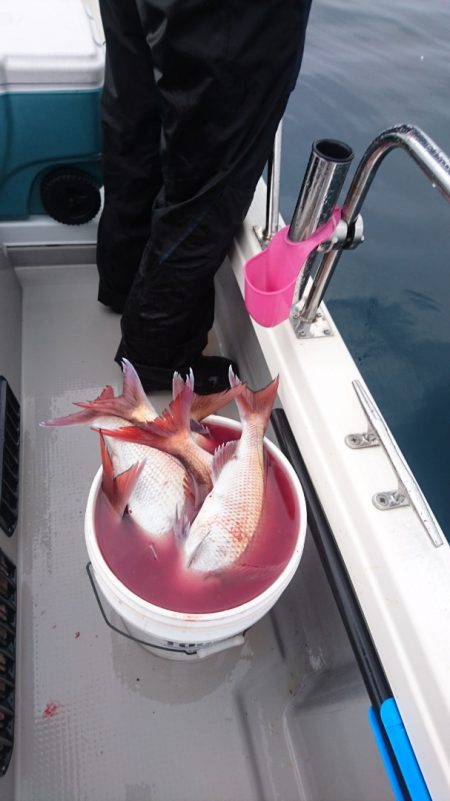 遊漁船ブルーウッズ 釣果