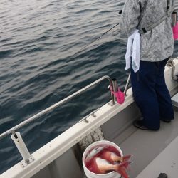 遊漁船ブルーウッズ 釣果