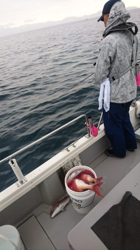 遊漁船ブルーウッズ 釣果