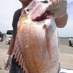 第三共栄丸 釣果