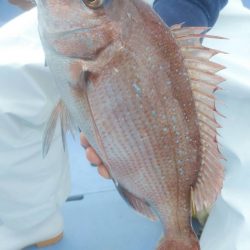 新幸丸 釣果