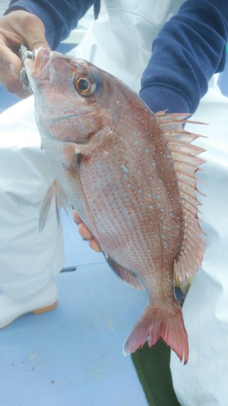 新幸丸 釣果