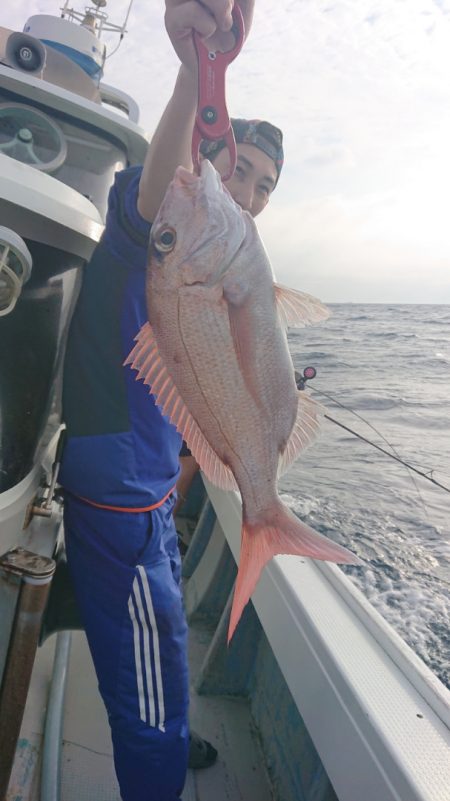 だて丸 釣果