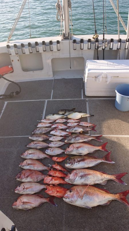 ARCADIAⅡ （アルカディアⅡ） 釣果…