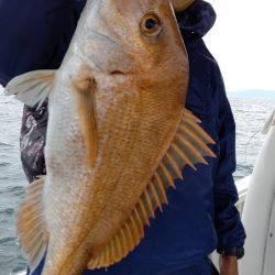 タイラバ遊漁船 ワンピース 釣果