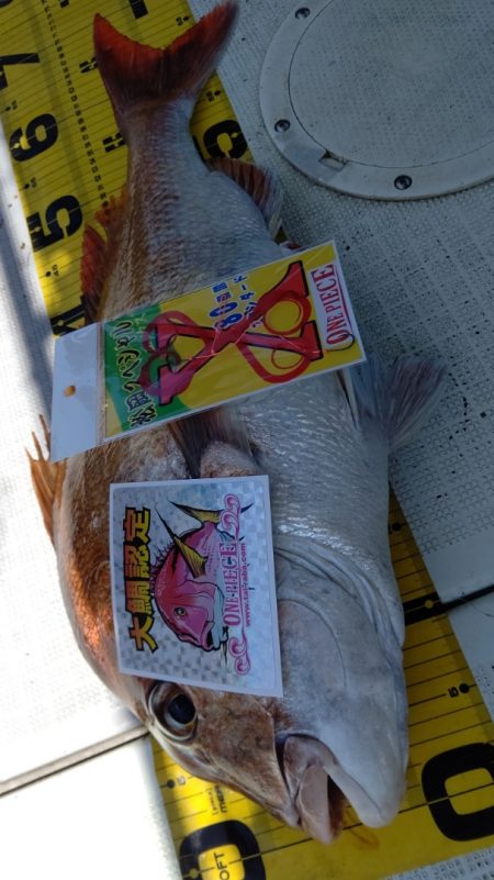 タイラバ遊漁船 ワンピース 釣果
