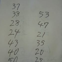 金沢八景鴨下丸 釣果