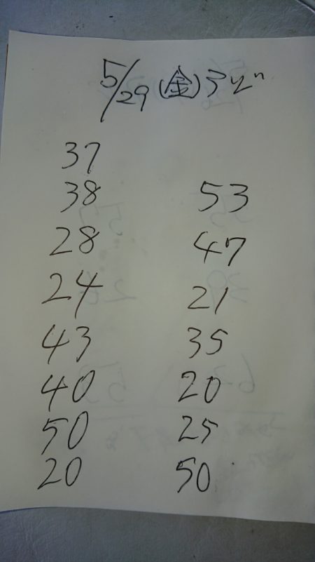 金沢八景鴨下丸 釣果