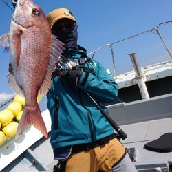 だて丸 釣果