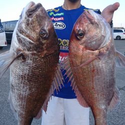 第三共栄丸 釣果