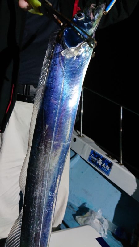 シースナイパー海龍 釣果