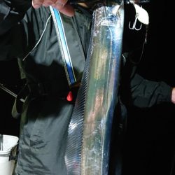 シースナイパー海龍 釣果