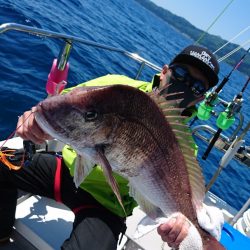 遊漁船ブルーウッズ 釣果