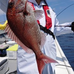 だて丸 釣果