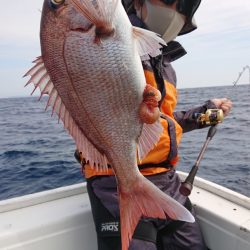 だて丸 釣果