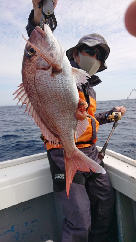 だて丸 釣果