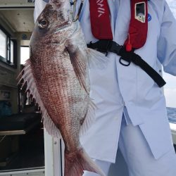 だて丸 釣果