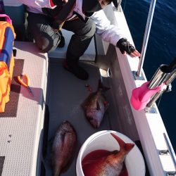 遊漁船ブルーウッズ 釣果