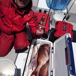 遊漁船ブルーウッズ 釣果