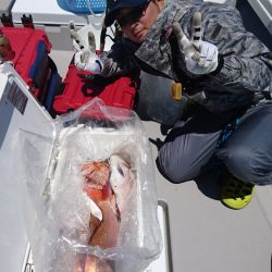 遊漁船ブルーウッズ 釣果