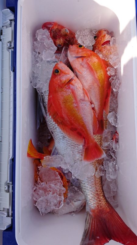海皇丸 釣果
