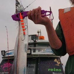 シースナイパー海龍 釣果