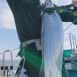 シースナイパー海龍 釣果