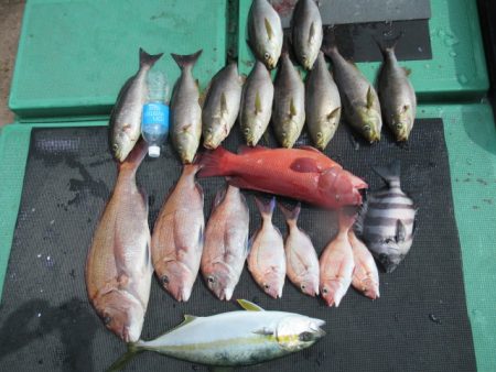 真祐丸 （しんゆうまる） 釣果