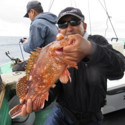 真祐丸 (しんゆうまる) 釣果