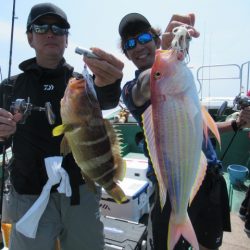 真祐丸 (しんゆうまる) 釣果