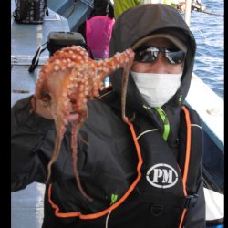 ヤザワ渡船 釣果