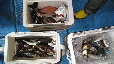 フィッシングガイド りょう 釣果