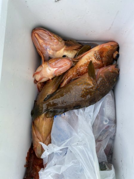 海龍丸(石川) 釣果