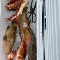 海龍丸(石川) 釣果