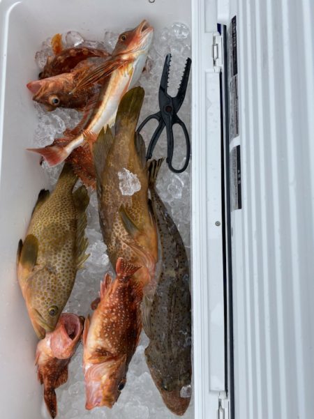 海龍丸(石川) 釣果