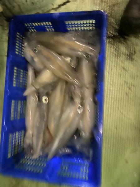 海龍丸（石川） 釣果