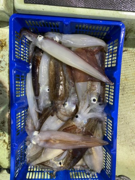 海龍丸（石川） 釣果