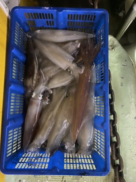 海龍丸（石川） 釣果