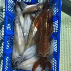 海龍丸（石川） 釣果