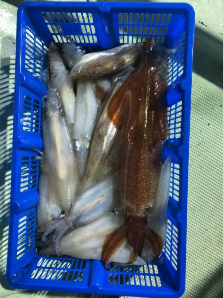 海龍丸（石川） 釣果