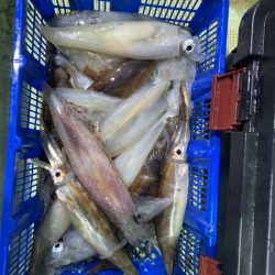 海龍丸（石川） 釣果