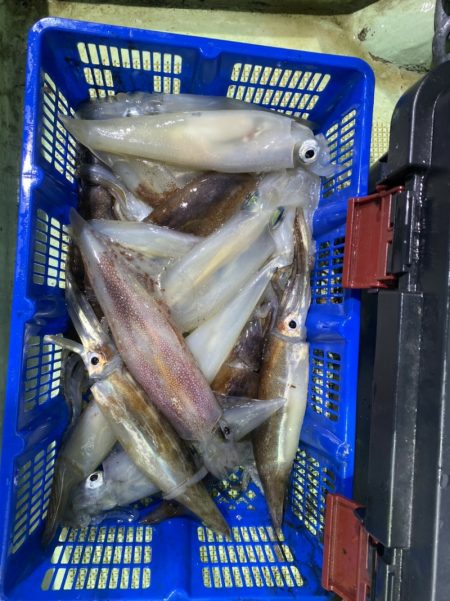 海龍丸（石川） 釣果