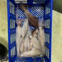 海龍丸（石川） 釣果