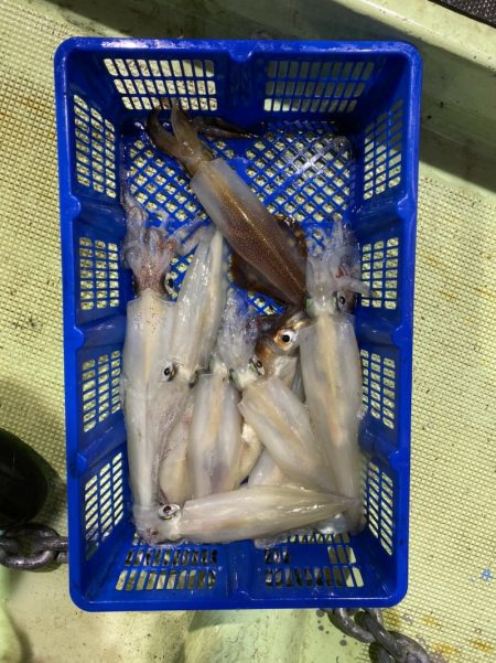 海龍丸（石川） 釣果