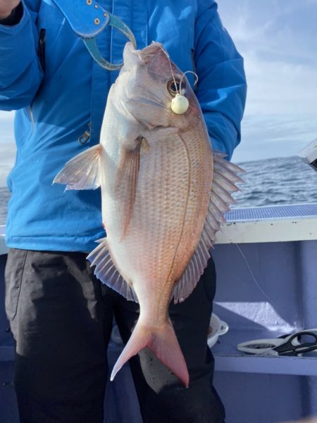 新幸丸 釣果