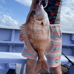 新幸丸 釣果