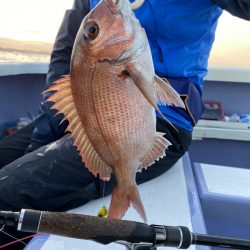 新幸丸 釣果