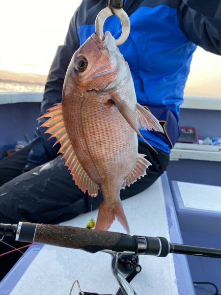 新幸丸 釣果